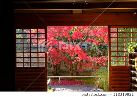 Autumn leaves at Korin-in Temple in Kyoto Autumn leaves at Korin-in Temple in Kyoto 118319921