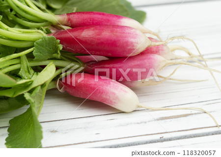 Angle view to a bunch of long radishes (French breakfast variety) with green leaves laying on the white wooden table. 118320057