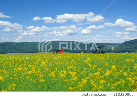 Beautiful rural landscape of blooming yellow canola field and pumpjacks on oil wells, hills with forests and blue sky with clouds on the background. 118320063