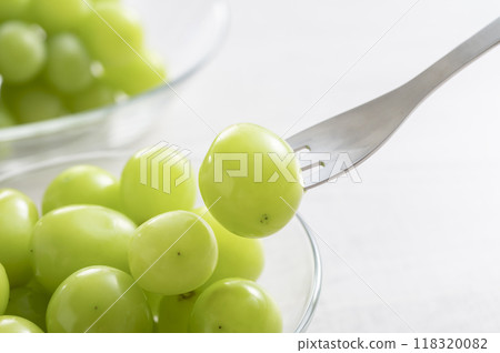 新鮮的光澤馬斯喀特 新鮮的光澤馬斯喀特 118320082