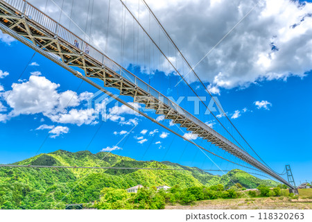春天的宮瀨湖濱公園吊橋與藍天 118320263