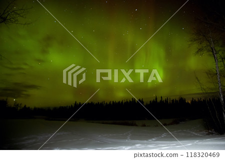 Night show of green lights of Aurora borealis or Northern lights in the forest valley. Night show of green lights of Aurora borealis or Northern lights in the forest valley. 118320469