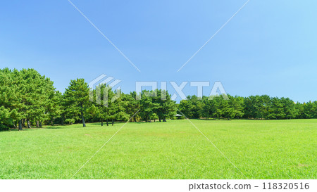 [Edogawa Ward, Tokyo] Kasai Rinkai Park, Shiobu Square 118320516