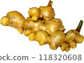 Ginger photo 118320608