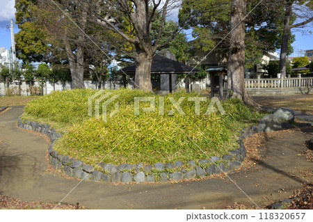 Hiratsuka's mound Hiratsuka's mound 118320657