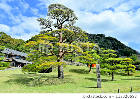 以櫻島為背景的島津家別墅“仙岩園” 以櫻島為背景的島津家別墅“仙岩園” 118320658