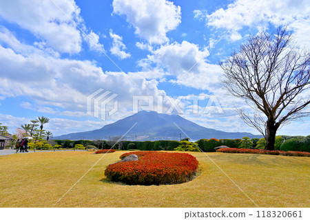 以櫻島為背景的島津家別墅“仙岩園” 118320661