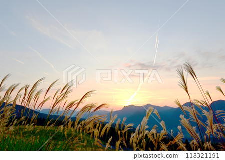 Soni Plateau: Evening scenery and clusters of silver grass Soni Plateau: Evening scenery and clusters of silver grass 118321191