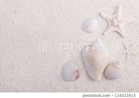 Border with star fish and seashells on white ocean sand. Border with star fish and seashells on white ocean sand. 118321613