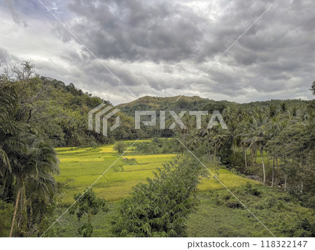 Panoramic view of jungles, Philippines 118322147