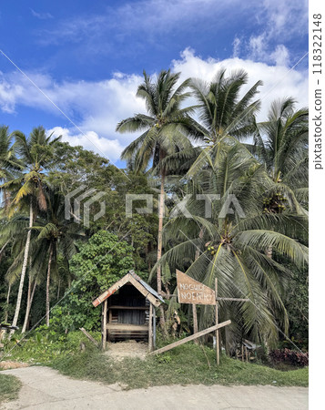 Panoramic view of jungles, Philippines 118322148