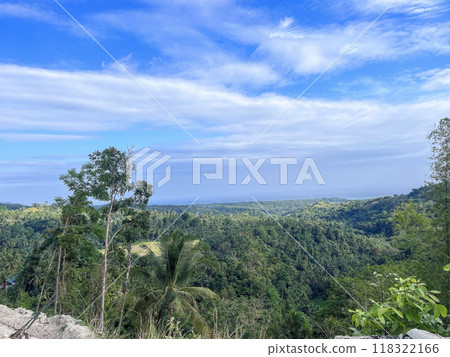 Panoramic view of jungles, Philippines 118322166