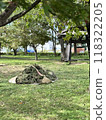 Park with lawn 118322205