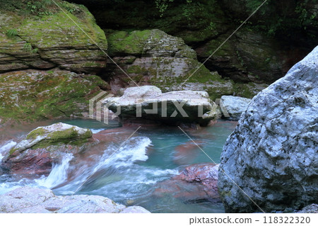 Nakatsu Valley Stream (Niyodogawa Town, Kochi Prefecture) 118322320