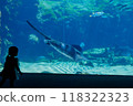 A star ray and a silhouette of a girl in an aquarium 118322323