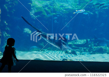 A star ray and a silhouette of a girl in an aquarium 118322323