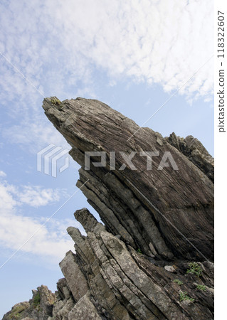 室戶岬島地層 118322607