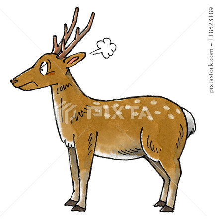 Angry Deer Angry Deer 118323189