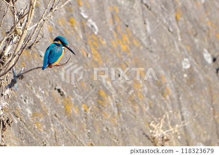 Take aim and calm Take aim and calm 118323679