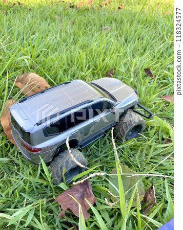 Radio-controlled car on the grass 118324577