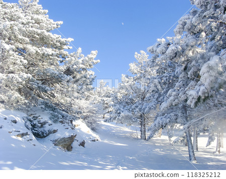 Winter landscape on the top of the mountain. Trees in the snow. Nature background. North Pole Winter landscape on the top of the mountain. Trees in the snow. Nature background. North Pole 118325212