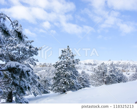 Winter landscape on the top of the mountain. Trees in the snow. Nature background. North Pole Winter landscape on the top of the mountain. Trees in the snow. Nature background. North Pole 118325213