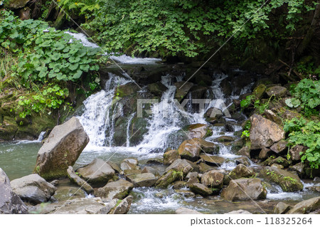 Mountain waterfall in the forest. Green nature. Mountain waterfall in the forest. Green nature. 118325264