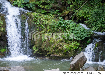 Mountain waterfall in the forest. Green nature. 118325265