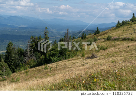 Mountains ranges in the Carpathians. Hills, forest and meadows Mountains ranges in the Carpathians. Hills, forest and meadows 118325722