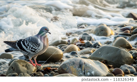 Pigeon on beach. Generative AI 118326349