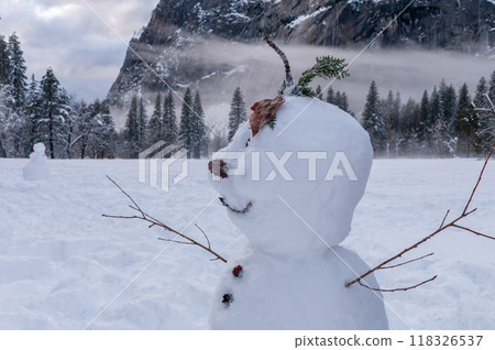 Snowman in Yosemite 118326537
