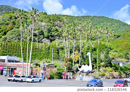 鹿兒島的民族自豪感、古老的屋久杉樹幹與伊西斯 118326546