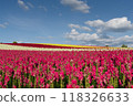 Hill of colors 118326633