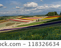Hill of colors 118326634
