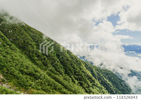 從中央阿爾卑斯駒岳索道看到的斜坡/長野縣駒根市 118326843