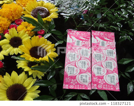 出雲大社相模神社出雲大社水中浮著文字的水上算命先生 118327121