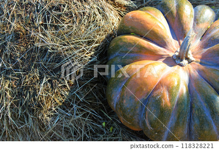 Farming Harvest Stock Photo With Giant Pumpkin On A Dry Hay Top View  118328221