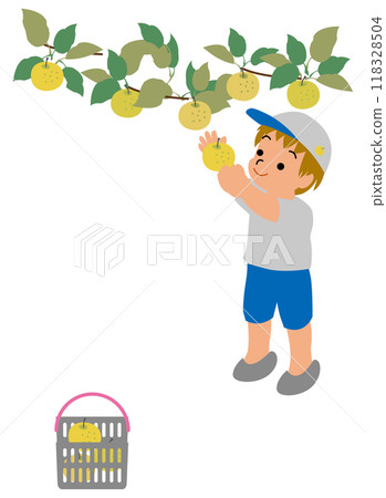 Illustration of children experiencing pear picking 02 Illustration of children experiencing pear picking 02 118328504