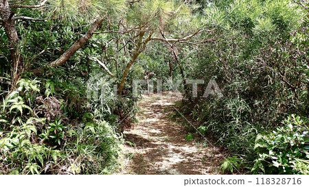 Mihanahara Promenade in the Kerama Islands of Tokashiki Island, Okinawa Prefecture Mihanahara Promenade in the Kerama Islands of Tokashiki Island, Okinawa Prefecture 118328716