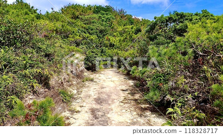 Mihanahara Promenade in the Kerama Islands of Tokashiki Island, Okinawa Prefecture 118328717