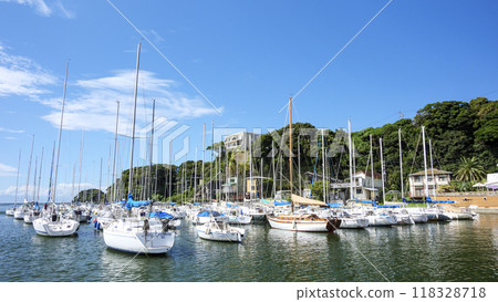 船舶停靠的港口 118328718