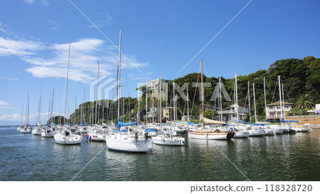 船舶停靠的港口 118328720