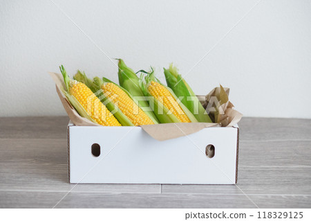 Corn Hometown Tax Return Gift Corn Hometown Tax Return Gift 118329125