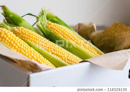 玉米家鄉報稅禮物 118329130