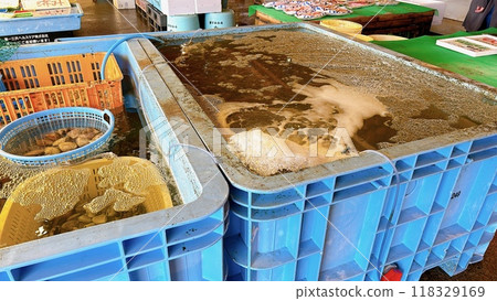 港口裡的魚 118329169