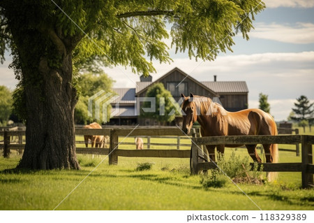 Horse ranch with green landscape 118329389