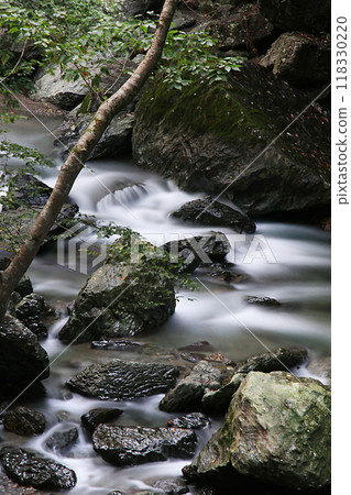 流動的山間溪流和美麗的苔蘚覆蓋的岩石 流動的山間溪流和美麗的苔蘚覆蓋的岩石 118330220