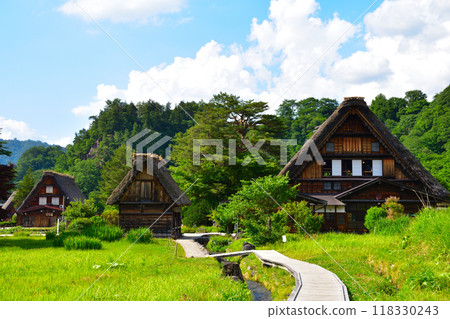 Summer Shirakawa-go 118330243