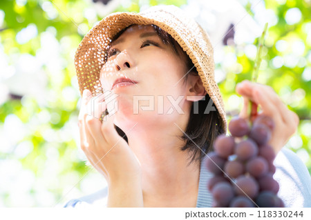 A woman picking grapes A woman picking fruit 118330244