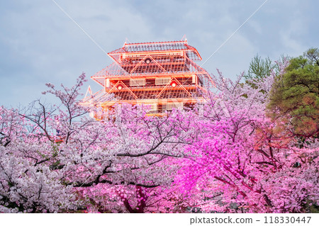 Sakura tunnel with colorful light up and Fukuoka Castle ruins Illusion 118330447